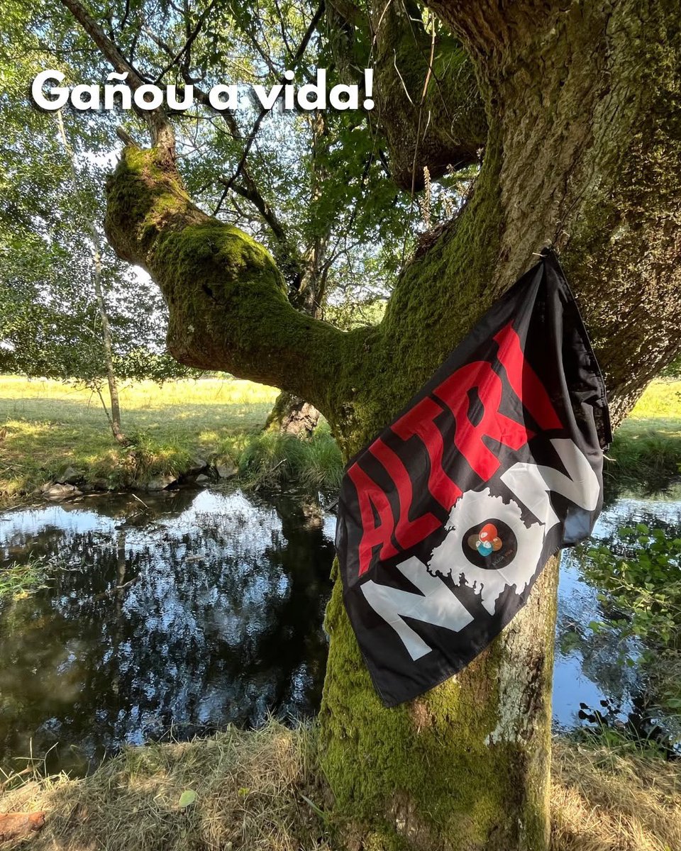 UlloaViva's tweet photo. 💚 GAÑOU A VIDA.

A Xunta anunciou o arquivo do proxecto da macrocelulosa de Altri en Palas de Rei. É unha vitoria da mobilización social de miles de persoas durante case 4 anos.

🚨 Pero seguimos vixiantes: a empresa aínda pode recorrer. 

#AltriNon #GañouAVida https://t.co/WcfJOhME28
