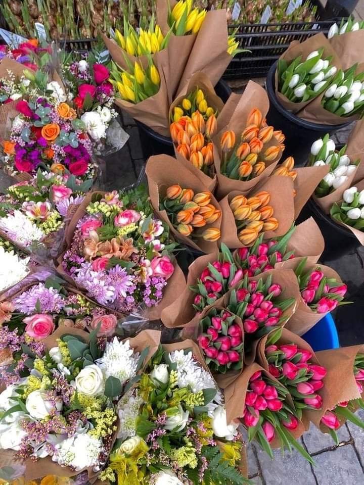 Shahmeerfbh's tweet photo. Pretty flowers 🌺 https://t.co/fZmbL72Gvc
