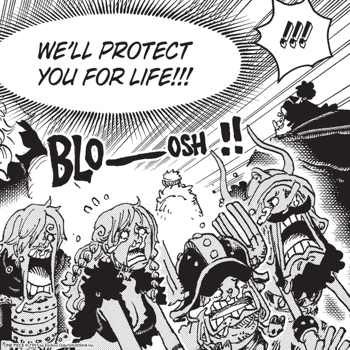 VIZMedia's tweet photo. Anyone else joining the protect-Robin-for-life club ✋ (via One Piece, Vol. 112) https://t.co/nZxqplR02O