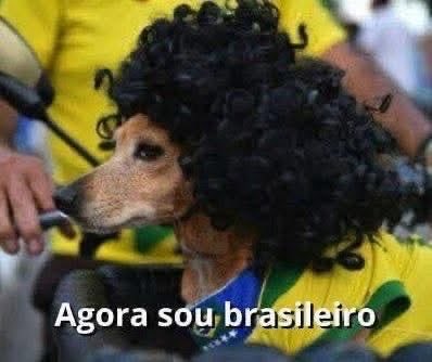 fernandogon10's tweet photo. @Tuzos https://t.co/h0XvicKMvE