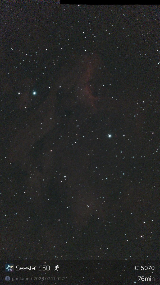 gonkane501's tweet photo. 雲が出てきたので途中で終了(￣▽￣;)

ペリカン星雲ー。

1.7倍フレーミング撮影

#SeestarS50 https://t.co/XXz7164vIJ