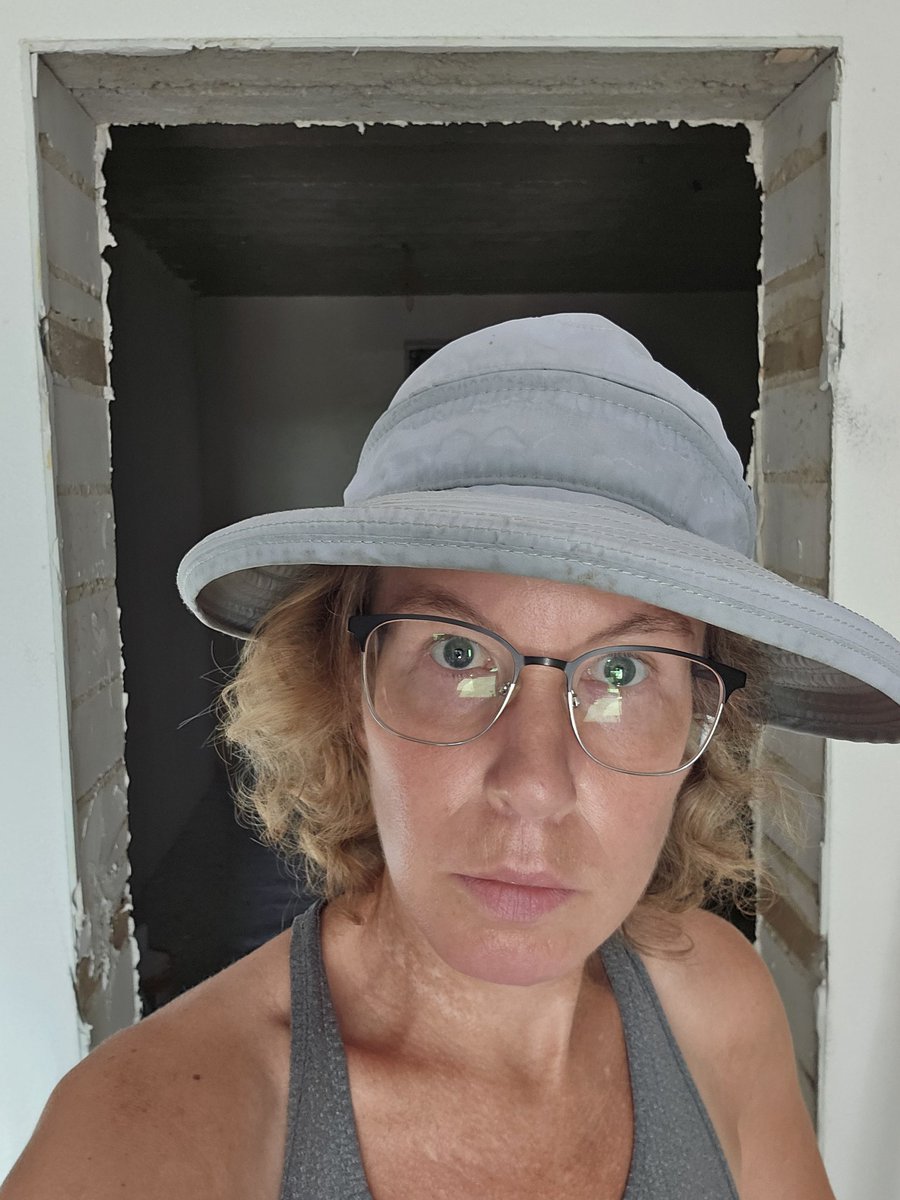 Sabine Hossenfelder tweet media
