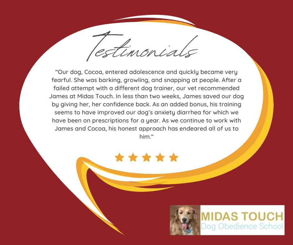 MidasDogTrain's tweet photo. Your feedback inspires us to keep delivering our very best! Thank you for taking the time to leave a review! ❤️

#MidasTouchDogObedienceSchool #Review #GoodReview #FiveStars #HappyCustomer #CustomerSatisfaction https://t.co/VYWZ71MrLH