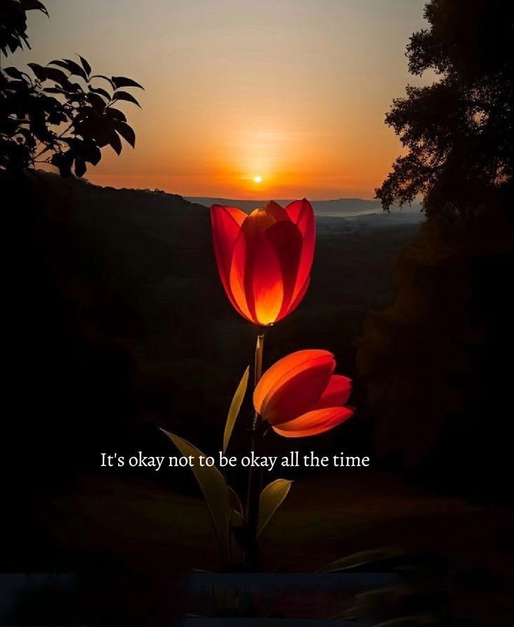 MQUOTESLIFE's tweet photo. https://t.co/0XL1zCT8zS
