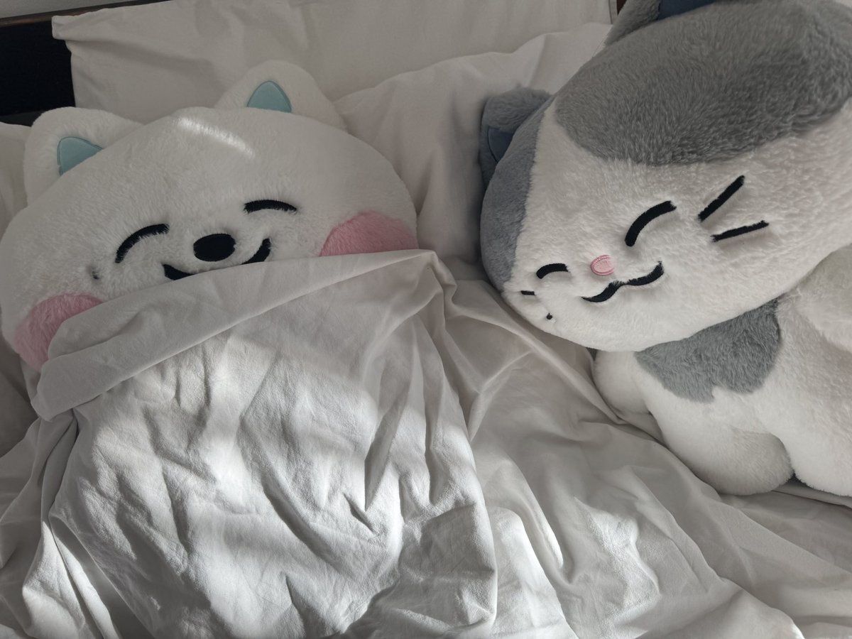 lemyowyd's tweet photo. me and jjed in every universe https://t.co/pgKBSZcJmN