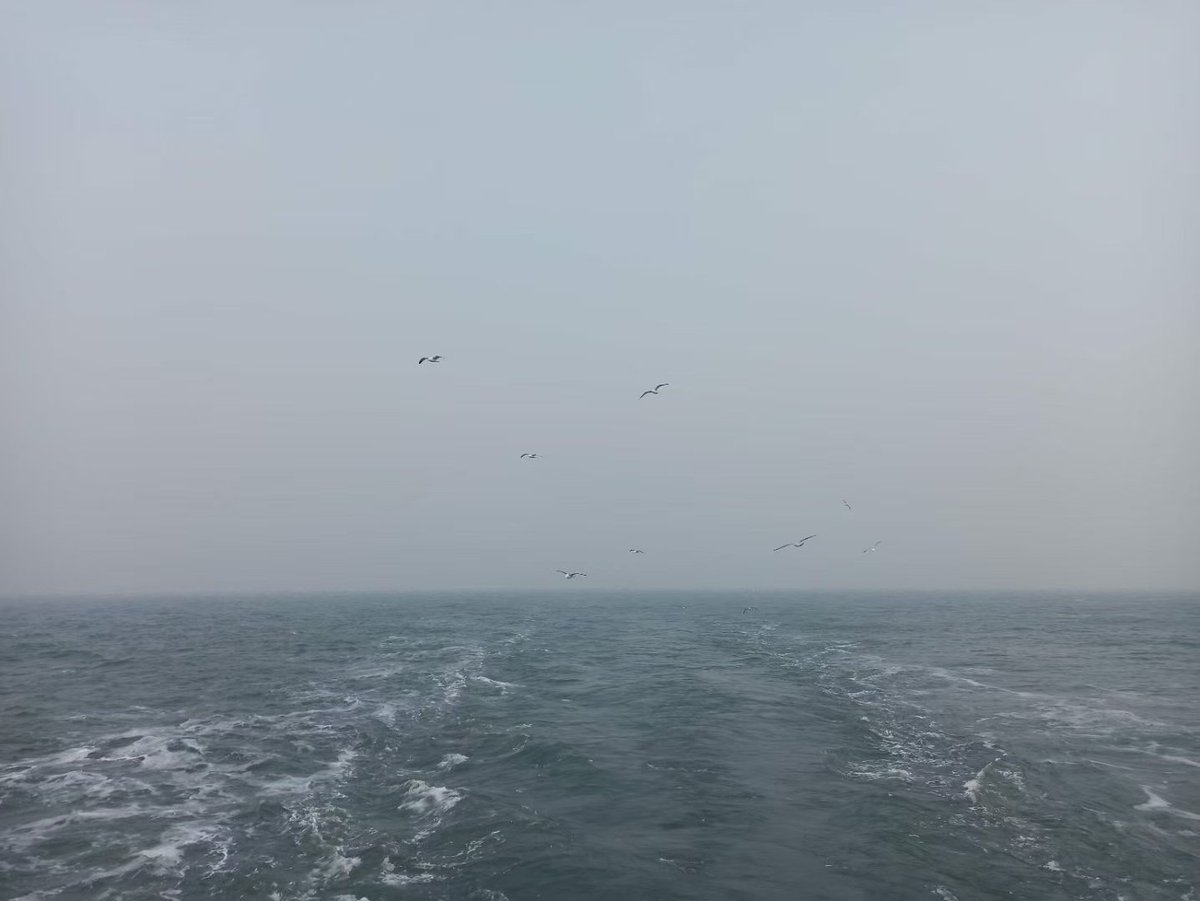 GSG7777777's tweet photo. 憶曾遊渤、黃、東、南四海口占
偶記前年四海巡。也無奇念也無珍。
只今憶比前賢跡。竟是詩家第一人。

圖一至亖依次爲渤海、黃海、東海、南海。 https://t.co/IKS4PpCi9V