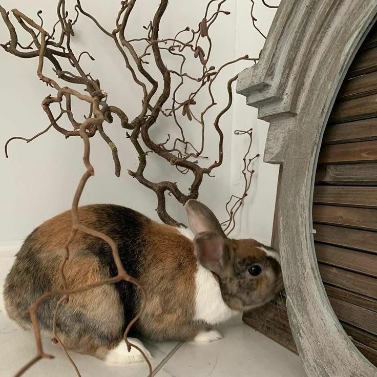 gardeniavibe's tweet photo. https://t.co/rPoX445WSL