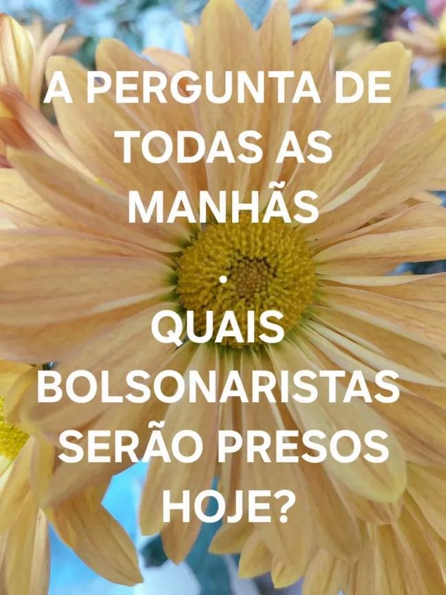 JEFERSO86867209's tweet photo. https://t.co/UtH94e1rFG