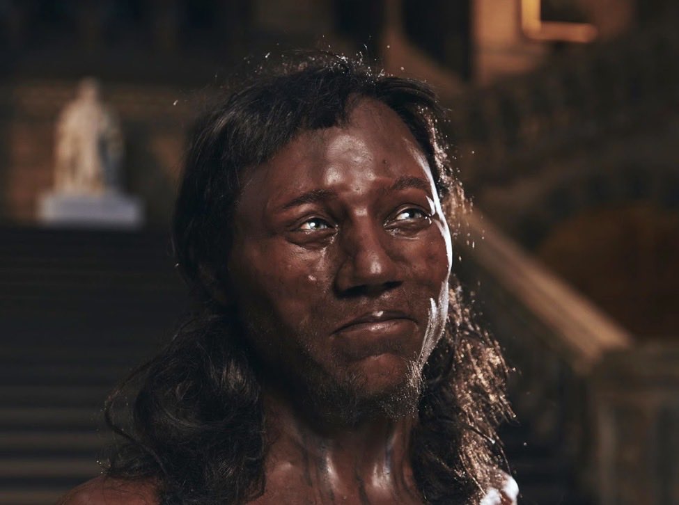 windbendsgrass's tweet photo. @Joshhunter0709 @Kittenwaffin Oh like how you did the MOORS? Europe wuzzary black I believe. You’re a “new thing” kitten. 🤓 https://t.co/zRLNEKrjny