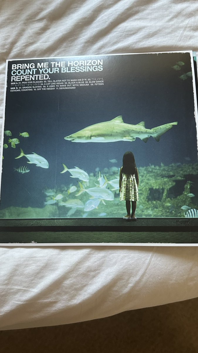 BlintishVT's tweet photo. that’s vinyl 4 added to the bmth collection https://t.co/EmtKwT2ETN