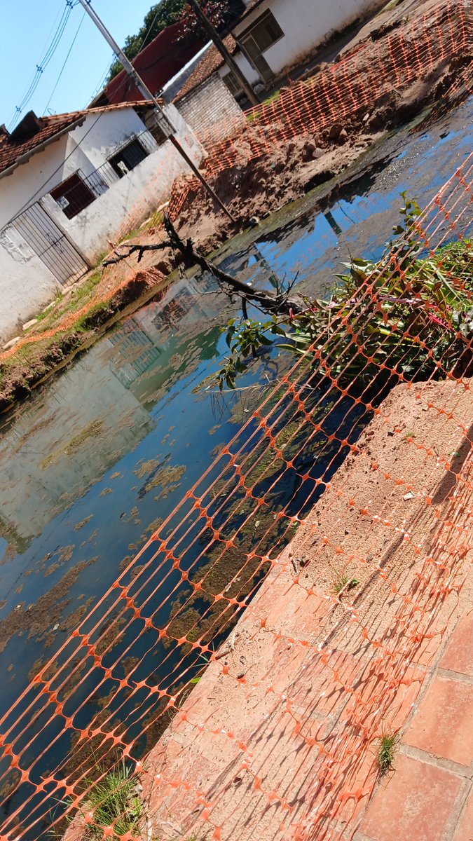 NOELIAOG's tweet photo. @noe_b79 @AsuncionMuni @ABCCardinal @AM_1080 @LuisBareiro @luisbello_asu Criadero de dengue y pescados https://t.co/0Bi4fodyCP