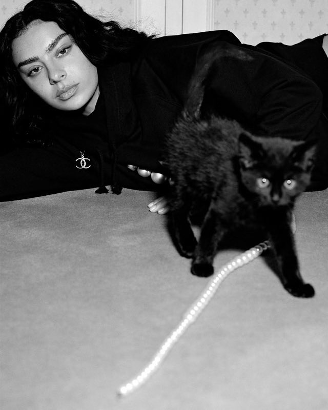xcxsource's tweet photo. Today is National Kitten Day.🖤🐈‍⬛ https://t.co/j9FVbLTYNj