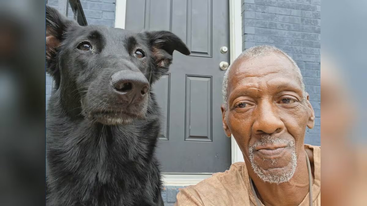 GAFollowers's tweet photo. A Cobb County man's 3 y/o service dog was shot and killed while deputies served an arrest warrant at his home. 

Justin Cummings says the dog was never aggressive and told deputies, "You just killed my dog. You killed my best friend. You killed my child," while officers maintained the dog was a threat.