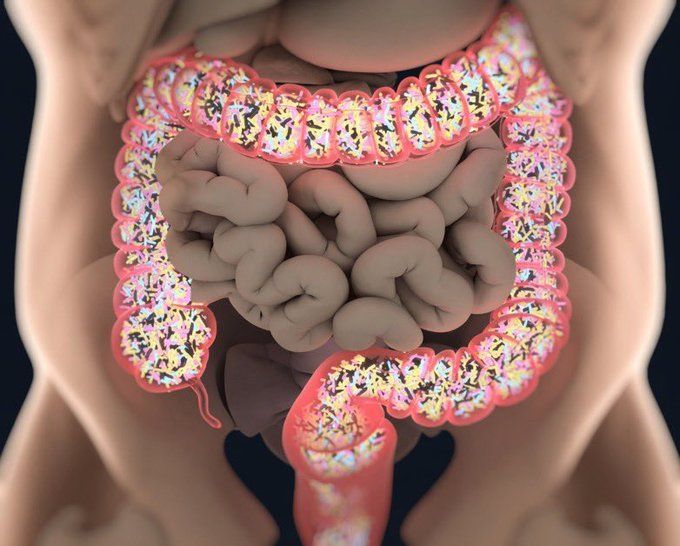 ArchivoHumanoX's tweet photo. 9 años que pasé en el gimnasio me enseñaron UNA cosa: La Salud Intestinal lo cambia todo.

Si quieres mejorar tu salud intestinal, aquí tienes mis mejores consejos:

1. Deja de beber agua del grifo. https://t.co/LTJs8toNIQ