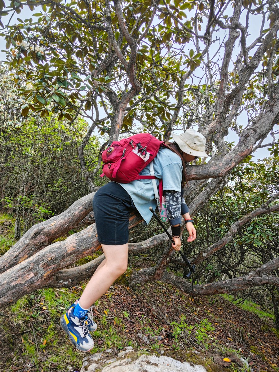 VikLaszlo's tweet photo. Small talk trick: ask people about their recent fun small wins. Got a coworker to share their weekend hike, a barista to rave about their new plant. Instant warm connections!， https://t.co/xx8arnOMnJ