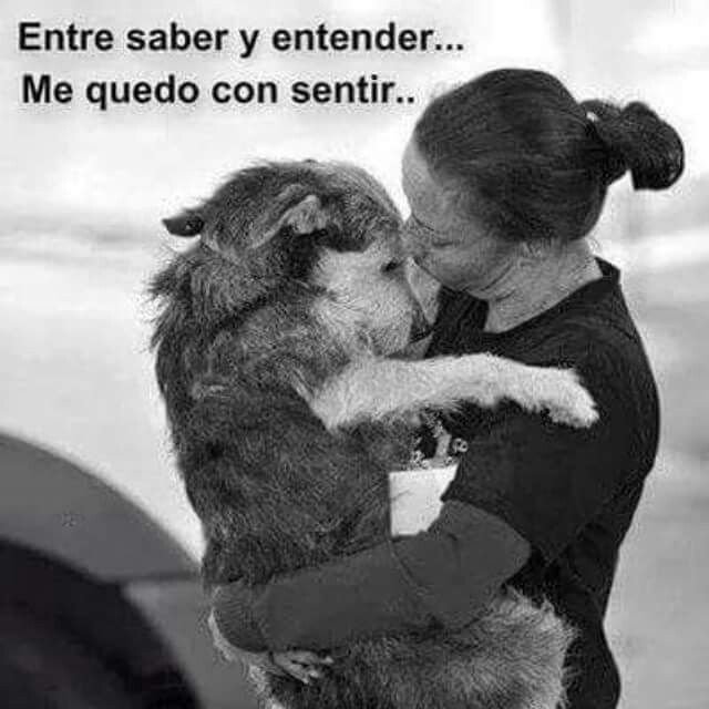 rey_latino33087's tweet photo. https://t.co/vUPK8CF0Tn