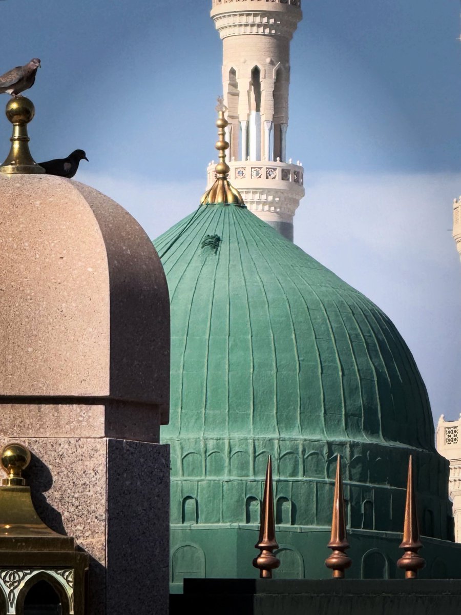 HS0fficial's tweet photo. آج جو عیب کسی پر نہیں کُھلنے دیتے
کب وہﷺ چاہیں گے میری حشر میں رسوائی ہو https://t.co/0CXLnscdPY