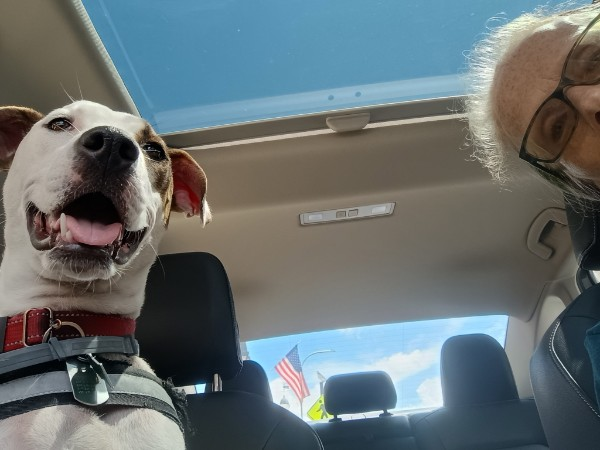 jwoodworthtalks's tweet photo. #FridayFact copilot yo. 👇💓 https://t.co/dwlqajepcO