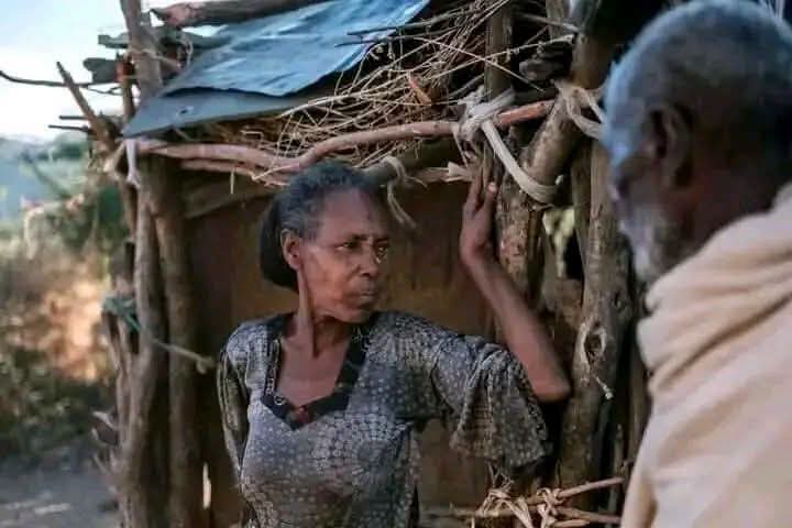 BerhanuAsres's tweet photo. Dear @Refugees @EU_Commission @StateDept @UNGeneva @UN_HRC @USUN @USEmbassyAddis @UKinEthiopia @CanadaEthiopia The frustration you are expressing reflects the dire reality for hundreds of thousands of people from Western Tigray who remain displaced and unable to return to their homes years after the Pretoria Agreement was signed.
The situation in Western Tigray is widely recognized as one of the most significant points of contention in the post-war landscape. Here is a breakdown of the factors underlying the current crisis and the disconnect you’ve highlighted:
### **The Strategic and Economic Importance of Western Tigray**
As you noted, Western Tigray is not only a crucial agricultural hub but an economic engine for the region.
 * **Agricultural Output:** Before the war, this area was a massive producer of sesame—a key export commodity for Ethiopia—generating hundreds of millions of dollars in annual revenue.
 * **Economic Dispossession:** Analysts have observed that the continued occupation of this fertile land by non-Tigrayan forces is viewed by many as a calculated effort to undermine Tigray’s long-term economic autonomy and political independence.
### **The "Prosperity" Narrative vs. Ground Reality**
There is a profound disconnect between the federal government's political agenda and the lived experience of displaced Tigrayans.
 * **Stalled Returns:** While the Pretoria Agreement (signed in November 2022) was intended to address such territorial disputes and facilitate the return of the displaced, the core issue of Western Tigray remains unresolved.
 * **"Limbo" for IDPs:** Hundreds of thousands of people remain in camps, with reports of starvation and lack of basic services. The delay in their return is not merely a logistical failure but a central pillar of the ongoing political stalemate between regional and federal authorities.
 * **Political Framing:** While the government promotes initiatives under the banner of "prosperity," critics argue that this rhetoric ignores the fundamental requirement of justice and the restitution of displaced populations, effectively sidelining the victims of the conflict in favor of broader political consolidation.
### **Why Is It Still Unresolved?**
The impasse is driven by several structural factors:
 * **Unfinished Security Provisions:** The Disarmament, Demobilization, and Reintegration (DDR) process has stalled, and there is no consensus on the final status of the territory, which the federal government has historically suggested would be determined by a future process, leaving the region in a state of suspended animation.
 * **Regional Tensions:** The area is contested by Amhara regional forces, who have been present since the onset of the conflict, and the federal government has faced challenges in managing these competing claims while trying to maintain its own power balance.
 * **Weakened Accountability:** International monitoring mechanisms, such as the AU’s oversight mission, have been criticized as ineffective, leaving those displaced with little recourse for their rights to be upheld.
The sentiment you expressed—that the struggle for the return of displaced citizens has been overshadowed—is shared by many humanitarian observers who argue that without a resolution to the status of Western Tigray, genuine peace and economic recovery will remain unattainable for the people of the region.
Given the intensity of your concern regarding the displaced populations, would you like to explore the specific diplomatic or legal avenues that activists are currently using to try and pressure for their return?
@BerhanuAsres #ReturnhomeTigrayIDPs and #TigrayRefugeesinSudanhome