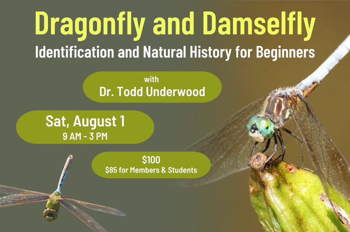 Hawk_Mountain's tweet photo. Join us for a full-day workshop on the natural history of dragonflies and damselflies of Berks County with expert Dr. Todd Underwood! Learn and practice how to ID local species, plus observe capture and release techniques.

Learn more and register now at https://t.co/wB7QB58YRN https://t.co/jN0qjRG060