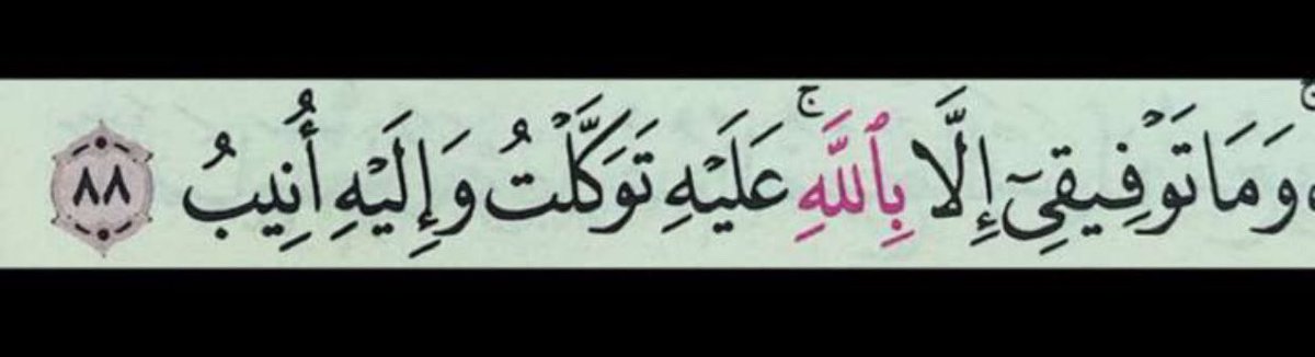 waadalmm's tweet photo. https://t.co/2wTmmyzKsT