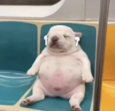 looongdawg tweet media