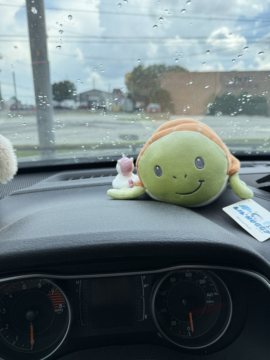 ocean_turtle72's tweet photo. I got my first #Jeep #Duck today. 😍😍😍 https://t.co/LWMDAadve0