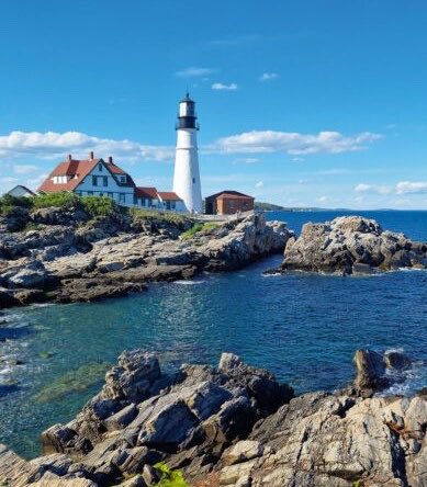 surgesoda's tweet photo. @SexyJedi @PRFlanagan @AriDrennen I don’t think there are too many “dark alley” in Maine ya fn dipshit 🤣 https://t.co/0PJDKlFKWW