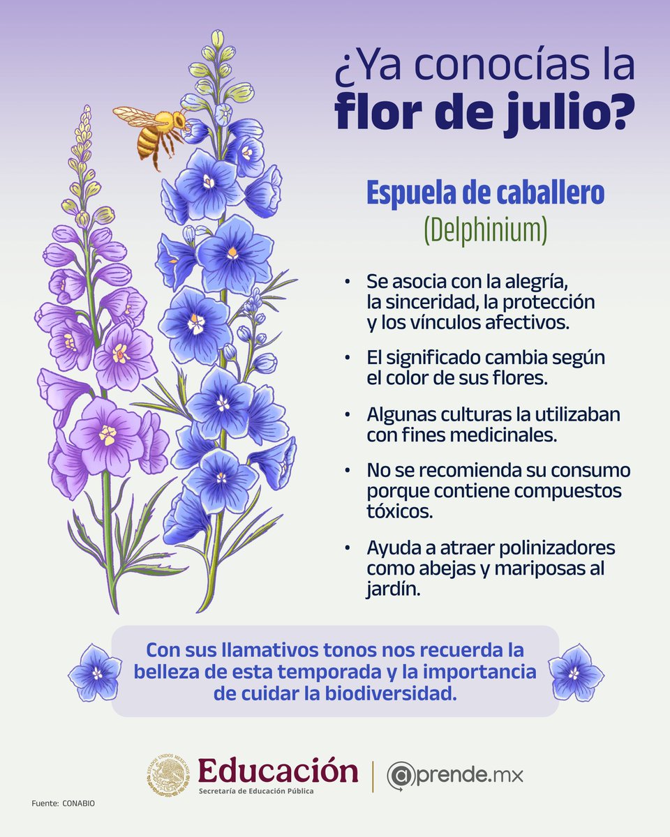 @prende.mx tweet media
