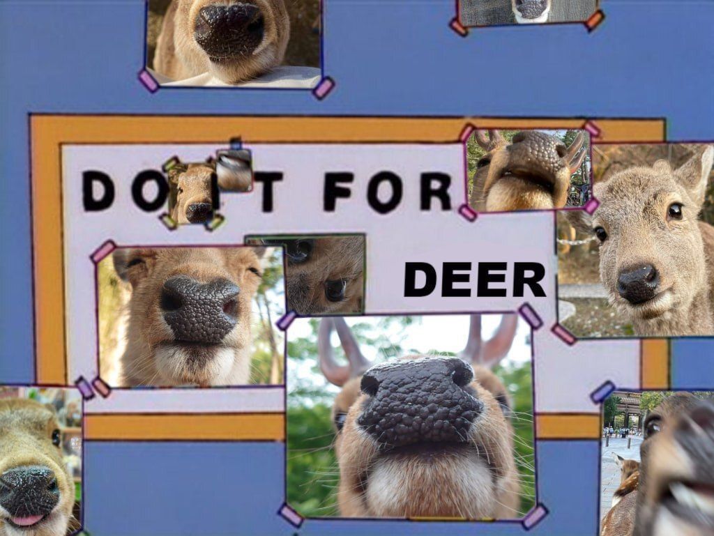 deershouldnt's tweet photo. https://t.co/7f4A5Jp0uM