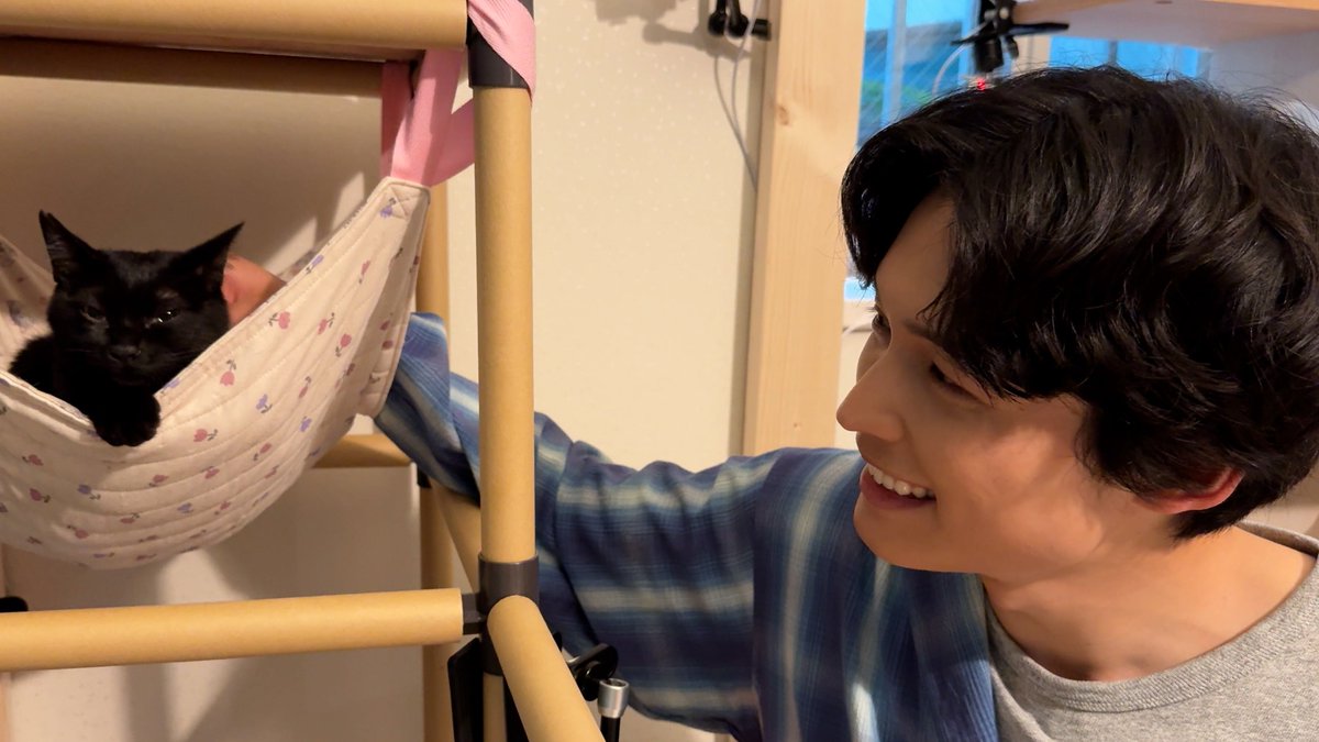 TVGweb's tweet photo. 「嗚呼!!みんなの動物園」今夜放送⏰

SixTONES・松村北斗、
ダーリンハニー・長嶋が預かる
保護猫と触れ合いメロメロ���🐱

人になじめない猫たちが
初対面の松村を威嚇する場面も…
あらゆる方法で距離を縮めるため奮闘❗

https://t.co/TYCHQWyCd1

#鳴呼みんなの動物園 https://t.co/Ax2iUvEo0h