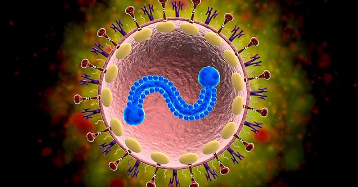 HenryKayode3's tweet photo. AI and Tech Companies Seek to End Respiratory Viruses, Starting With Cold and Flu
#AI #Tech #Respiratory #Virus #Cold #flu
Read more 👇
https://t.co/Yjygl9cWe0 https://t.co/C4gJcqvxAx