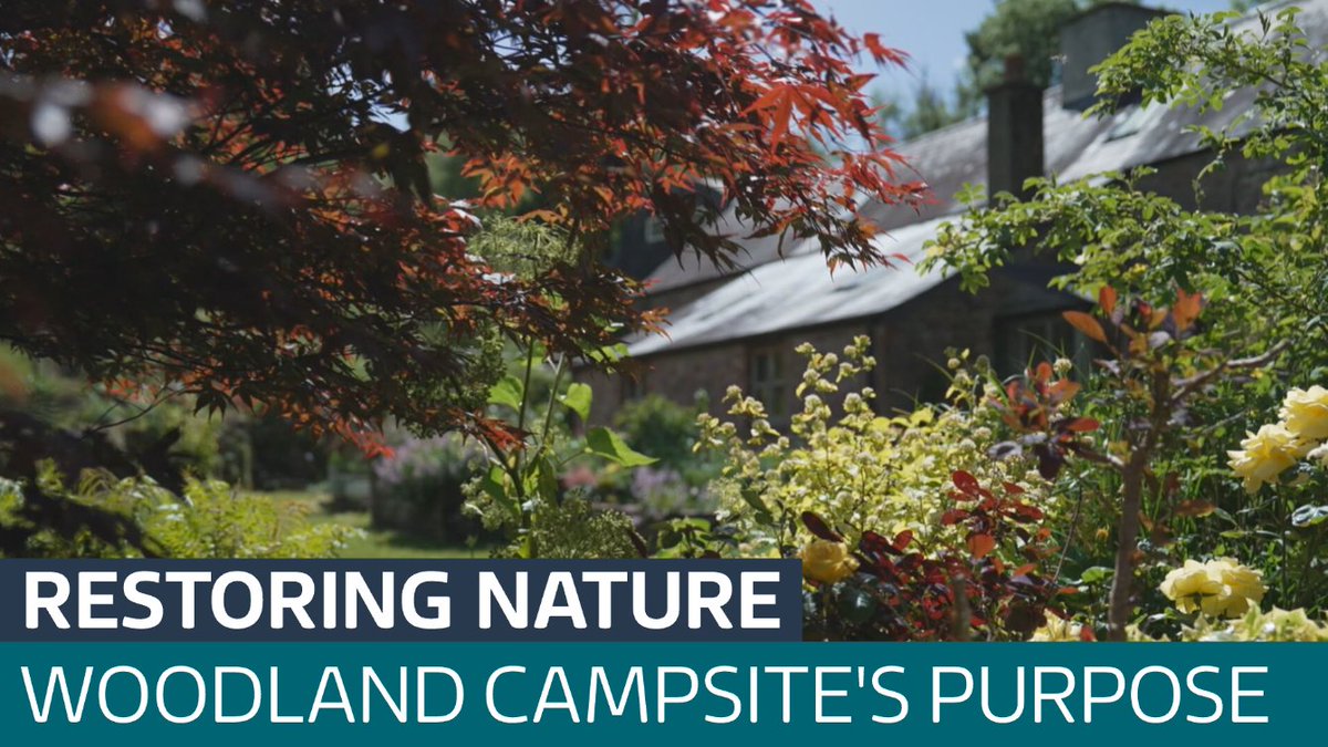 ITVWales's tweet photo. 'I found peace here, it's paradise to me': The hidden forest campsite that's leaving a legacy https://t.co/bg7Z5SYuTP https://t.co/sIUMFmo3mb
