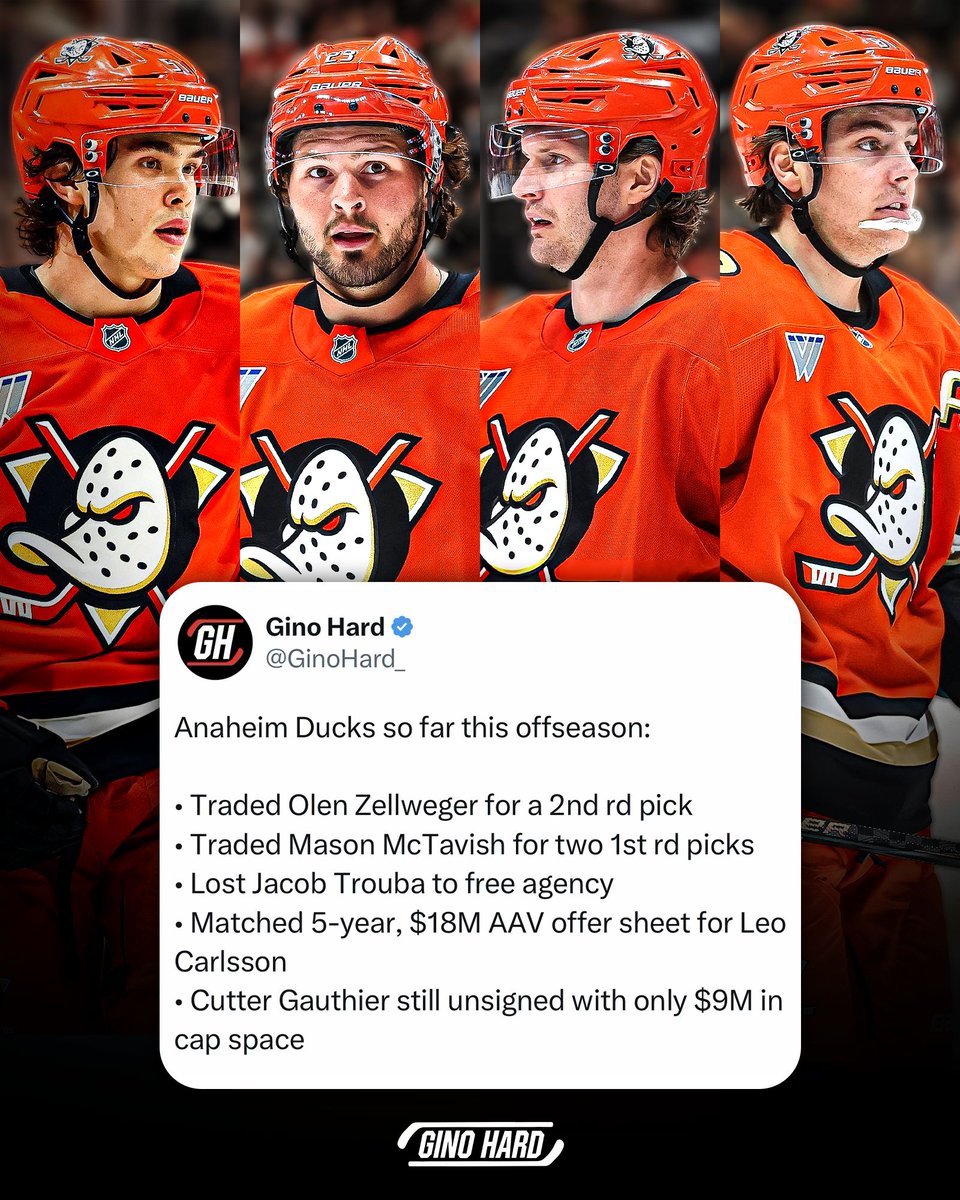Gino Hard tweet media