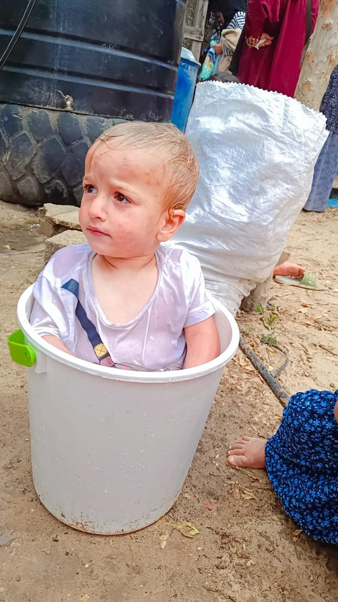 jihan_gaza's tweet photo. $5 from one kind person, $10 from another. Only $15 left for a bag of flour. Every dollar helps. Thank you. 🤍🙏🇵🇸https://t.co/M7ZCrZCo1p https://t.co/LlrAxSdhgf