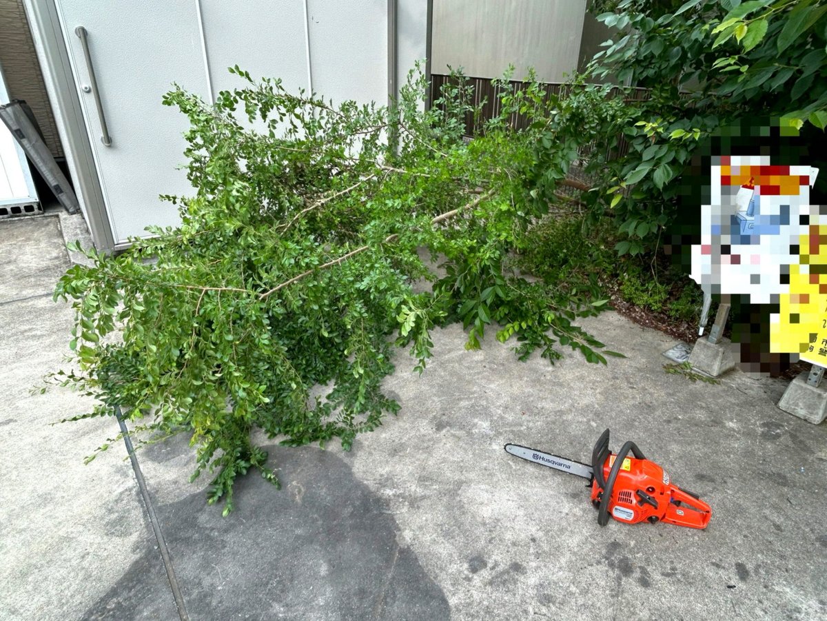 JungAlexandra1's tweet photo. APEXソロでやるのが1番つまらん https://t.co/4UdofZONPF