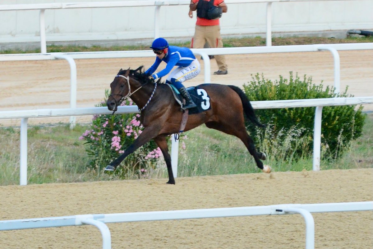 Royalbluestud's tweet photo. Money Well Spent İstanbul'da katıldığı Satış-3 2000s koşusunu 2.05.80'lik derecesiyle kazanma başarısı göstermiştir. Antrenörümüz @temel_ibrahim1'i ve jokeyimiz @EnesBzdg1'ı tebrik ederiz. https://t.co/nG1GBcFTXD
