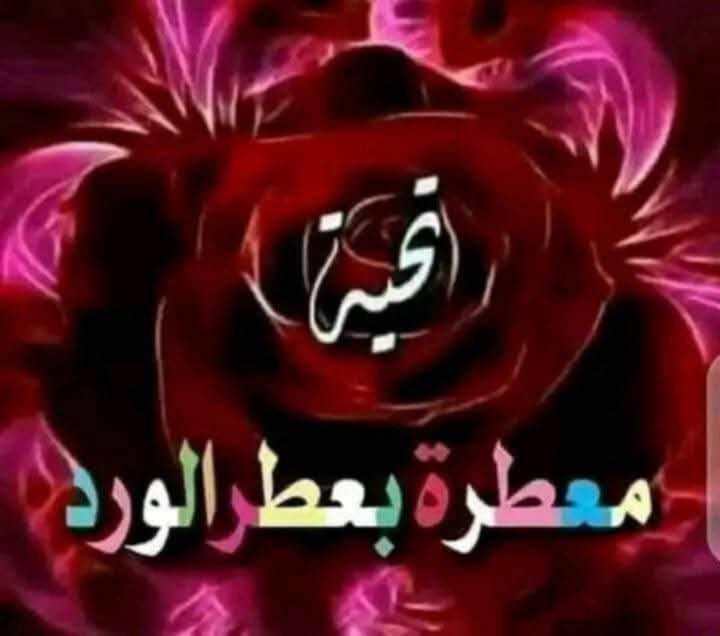 FwlZyzw's tweet photo. @DeRghDxJ7j4ywuJ @ashrafdorra62 https://t.co/3qaLKJCdGi