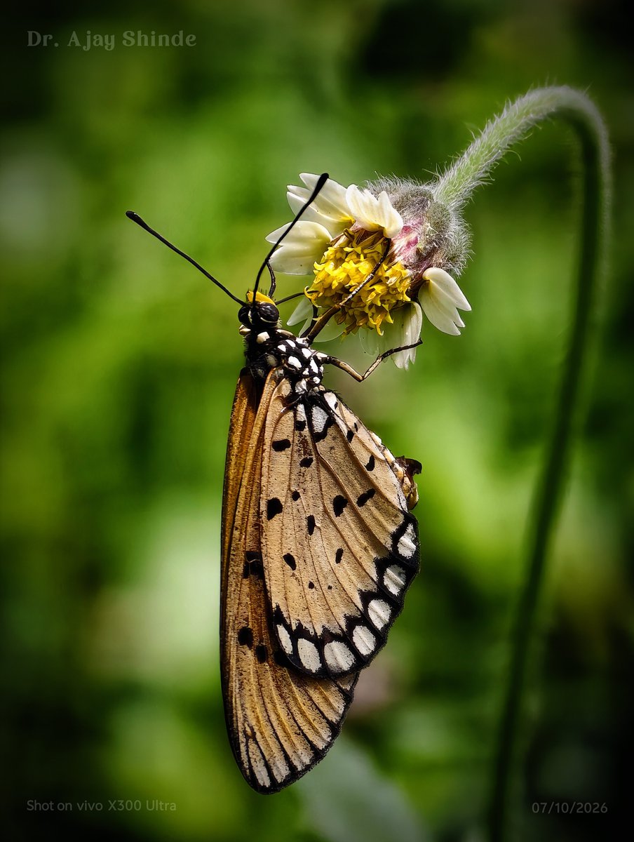 ajayshinde791's tweet photo. @encoword Vivo x300 ultra after major camera update https://t.co/PreHkp4VYX