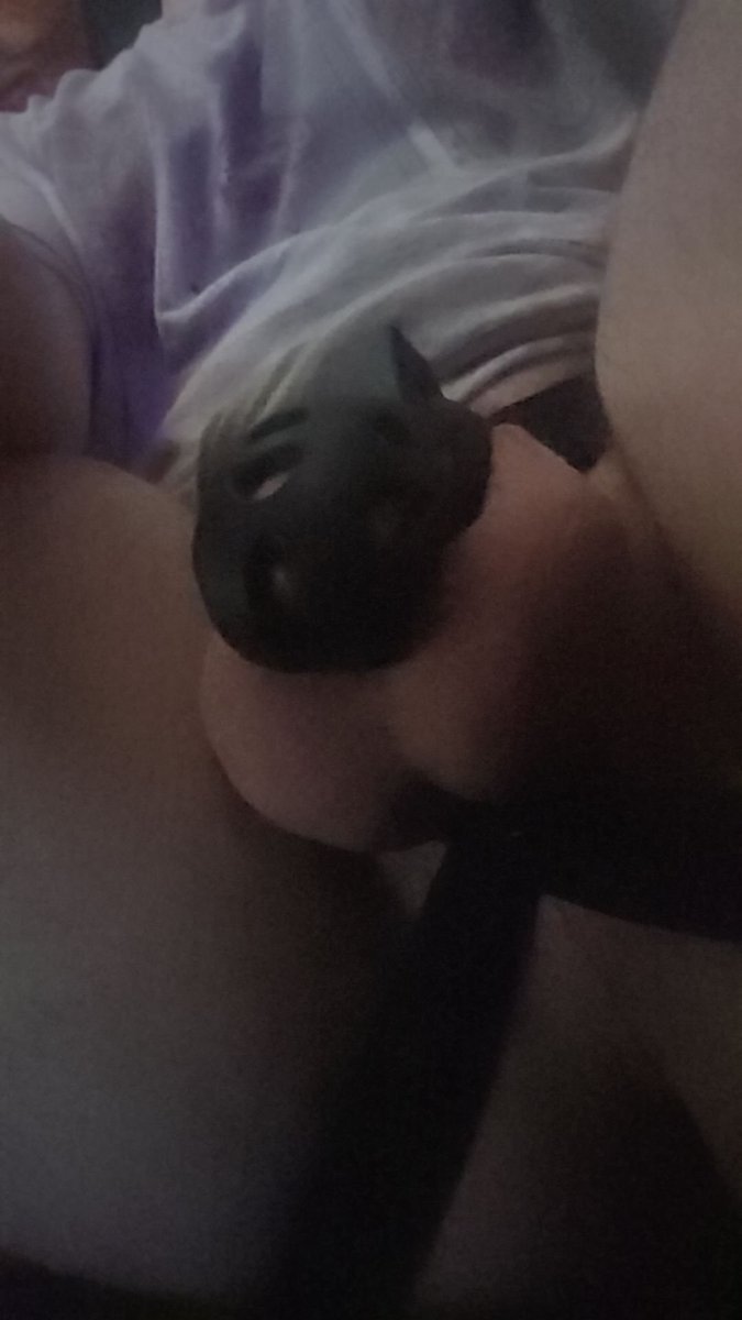 WisterMaws's tweet photo. Meant to add this to the post, whoops https://t.co/sOmZiyg9Oi