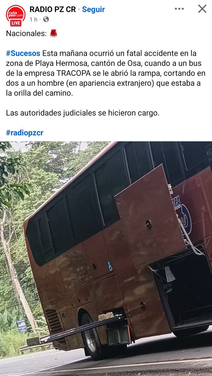 Profe Morado tweet media