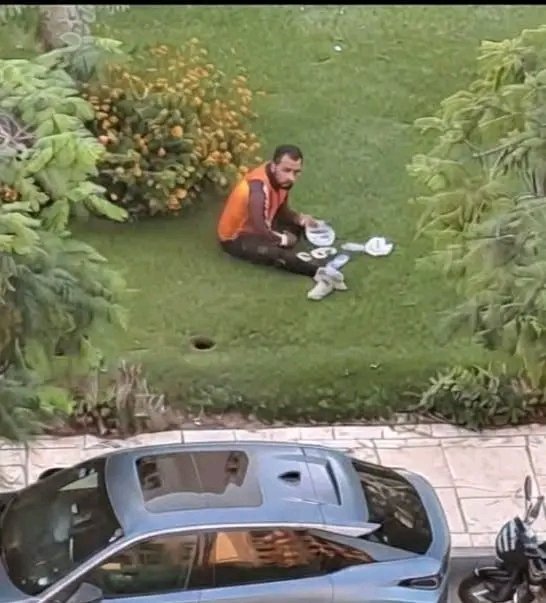 Ahmed Elkady tweet media