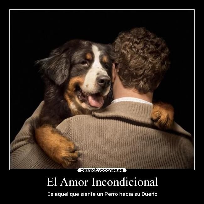 rey_latino33087's tweet photo. https://t.co/q0bQegkth2