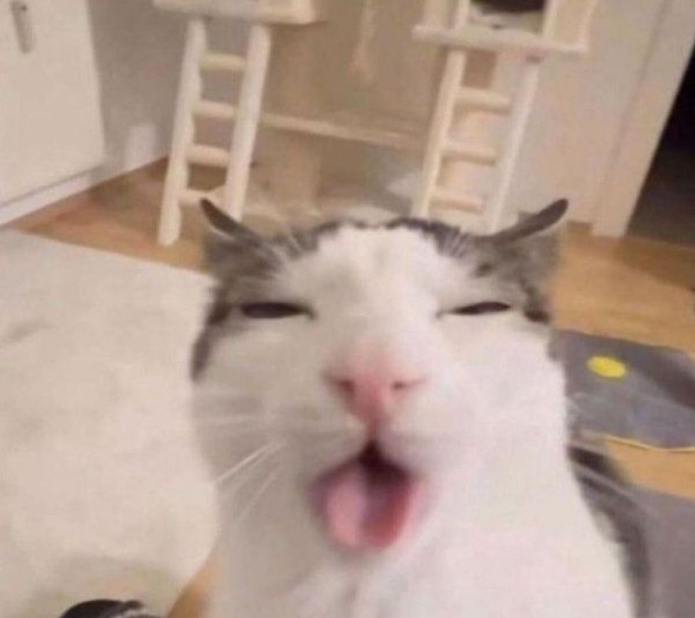 Lokeeee_'s tweet photo. @shoyocsalsicha tem um anime com quase esse nome e é horroroso de ruim https://t.co/RXJcdls7EP