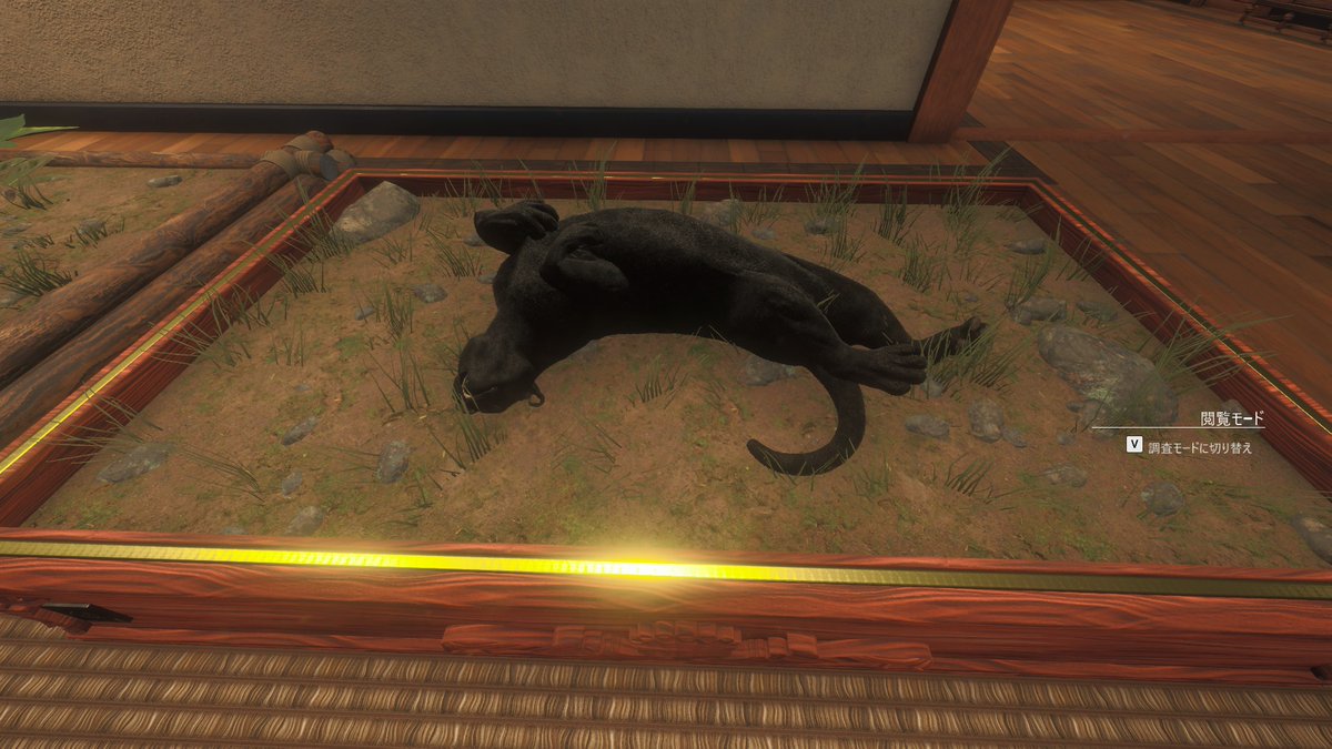 tackey_human's tweet photo. メラニスティックのジャガー発見🐯
夜にこの色で忍ばれたら
さすがに見���ません。。。
あとオジロジカのダイヤもついでに見つけました🦌
#theHunter #thehuntercotw https://t.co/cYQdRwyGFn
