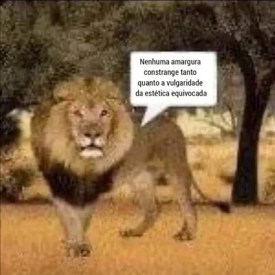 primeramentefds's tweet photo. Quem me conhece pessoalmente sabe q eu n amargurado mas como n sentir amargura desse jeito?? https://t.co/nMy0nbNdUJ