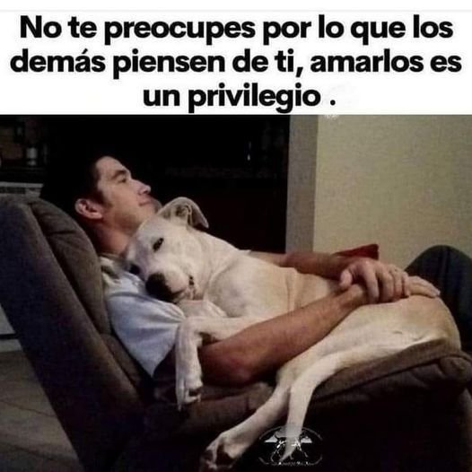 rey_latino33087's tweet photo. https://t.co/A0U93ZOiWR