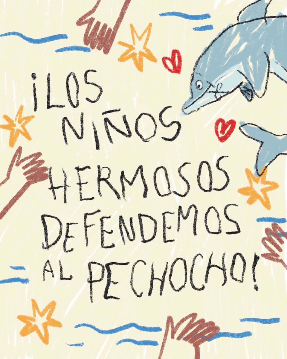 CClimaticas's tweet photo. 🐬 El pechocho ha vivido en Topolobampo durante décadas. Las niñas y los niños lo conocen, lo quieren y defienden el hogar que comparten. 
Fuera la planta de amoníaco! 💙 https://t.co/Y7v2Y1E11t