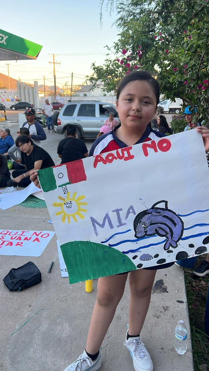 CClimaticas's tweet photo. 🐬 El pechocho ha vivido en Topolobampo durante décadas. Las niñas y los niños lo conocen, lo quieren y defienden el hogar que comparten. 
Fuera la planta de amoníaco! 💙 https://t.co/Y7v2Y1E11t