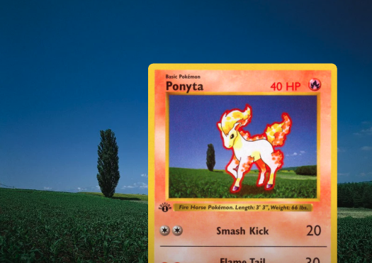 dachshundwizard's tweet photo. 99% of Pokémon collectors have never heard of Sozaijiten.

Long before Shutterstock or Adobe Stock, Pokémon illustrators used professionally licensed stock photo CD-ROMs as reference for many card backgrounds.

The Pokémon were still hand-drawn, but forests, beaches, flowers, mountains, and other scenery were often inspired by these real photos.

Once you see the side-by-side comparisons, you can't unsee them.

And it wasn't just Base Set. Fans have found examples in Jungle, Fossil, Team Rocket, Gym, and Neo-era cards too.